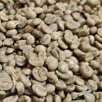 Green Coffee Bean