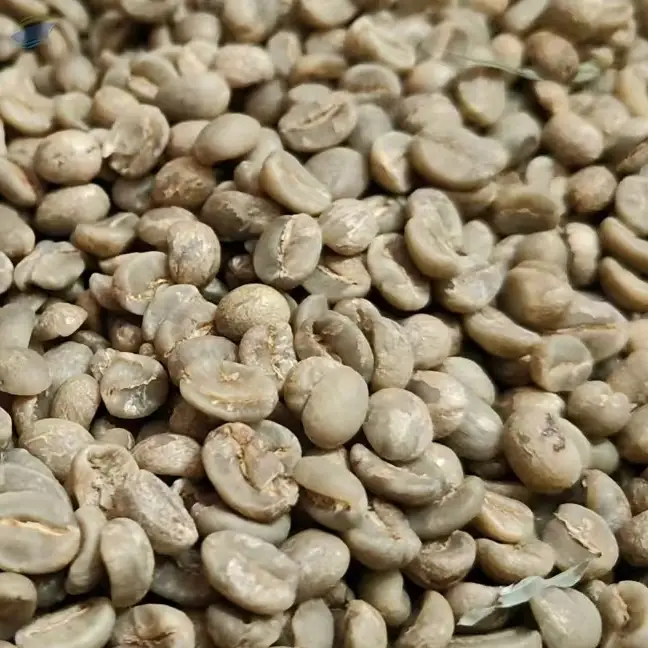Green Coffee Bean