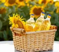 Sunflower Oil