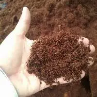 Cocopeat/coirpith