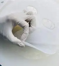 Bio Cellulose Face Mask From Coconut Water