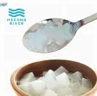 Raw Nata De Coco In Cube Shape Various Size