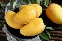 Taste of Mekong  Soft Golden Dried Mango