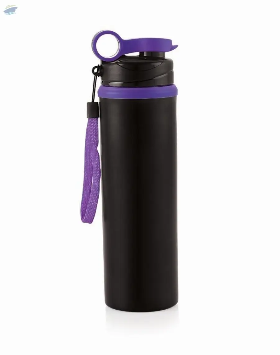 Stainless Steel Bottle