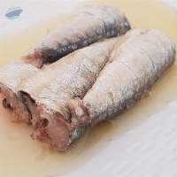 Canned Sardines And Mackerel