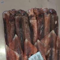 Frozen Food