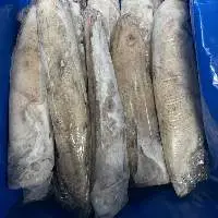 Frozen WR IQF Squid