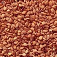Red Sesame Seed