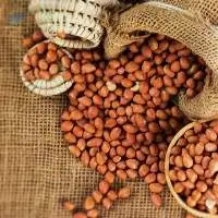 Sudanese High Quality Organic Raw Peanuts