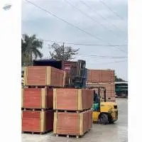 Container Flooring Plywood