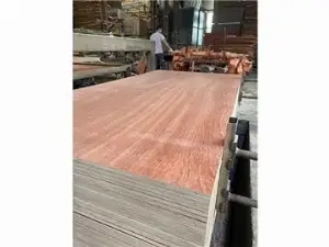 Furniture Plywoood