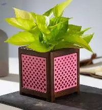 Qubo Teak Wood Planters