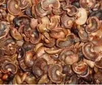 Cashew Nut Shells