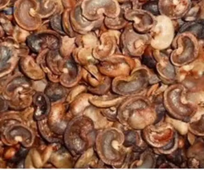 Cashew Nut Shells