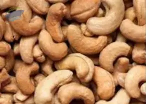 Cashew Nuts