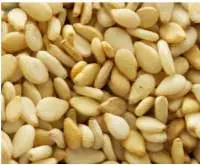 Seaseme Seed