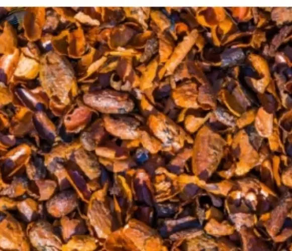Cocoa Shells