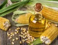 Edible Oils