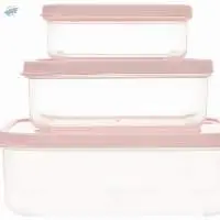 Set Of 3 Lunch Rectangular Plastic Boxes