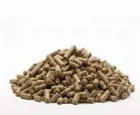 Elephant Feed