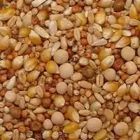 Pigeon Feed Mix