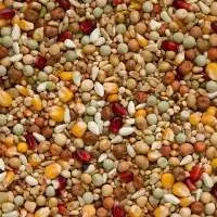 Pigeon Breeder Feed