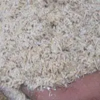 Animal Feed Barley Meal