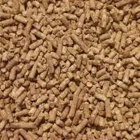 Beef Cattle Feed