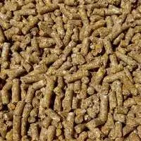 Beef Stock Feed