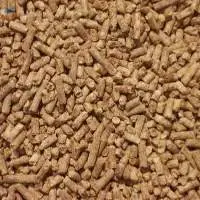 Dairy Camel Feed