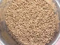 Supplementary Cattle Feed
