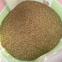 Bio Medical Research Feed