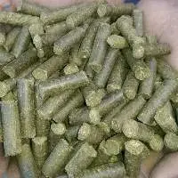 Equine Laminitis Feed Nutrition