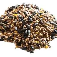 Yearling Developer Feed