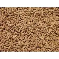 Bison Regular Feed