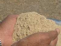 Premium Processed Dry Fodder for Animal Feed