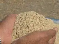 Premium Processed Dry Fodder for Animal Feed