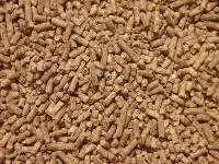 Commercial Beef Stock Feed