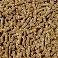 Beef Calf Grower Feed