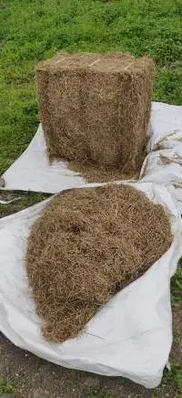 Rhodes Grass Hay