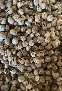 Nutmeg Without Shell Grade BWP