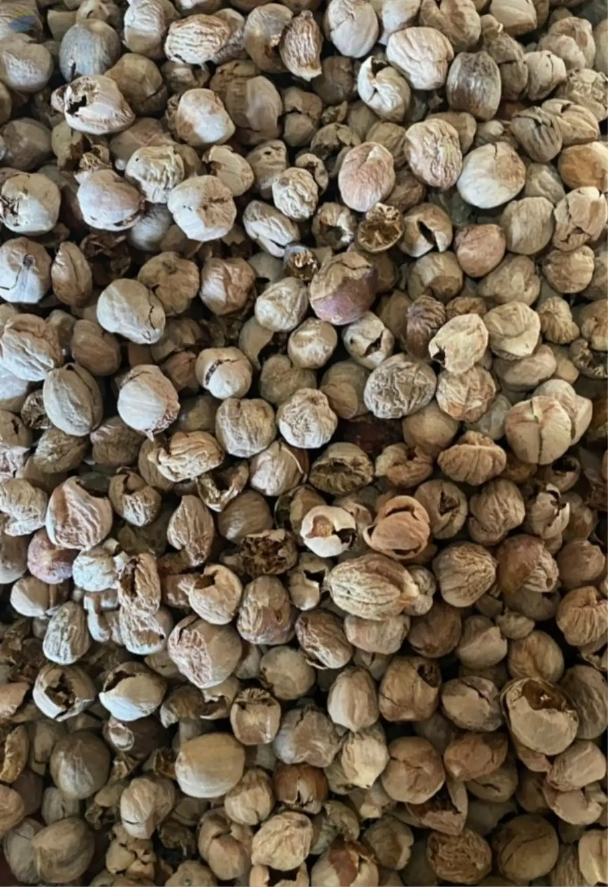 Nutmeg Without Shell Grade BWP