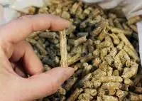 Wood Pellet