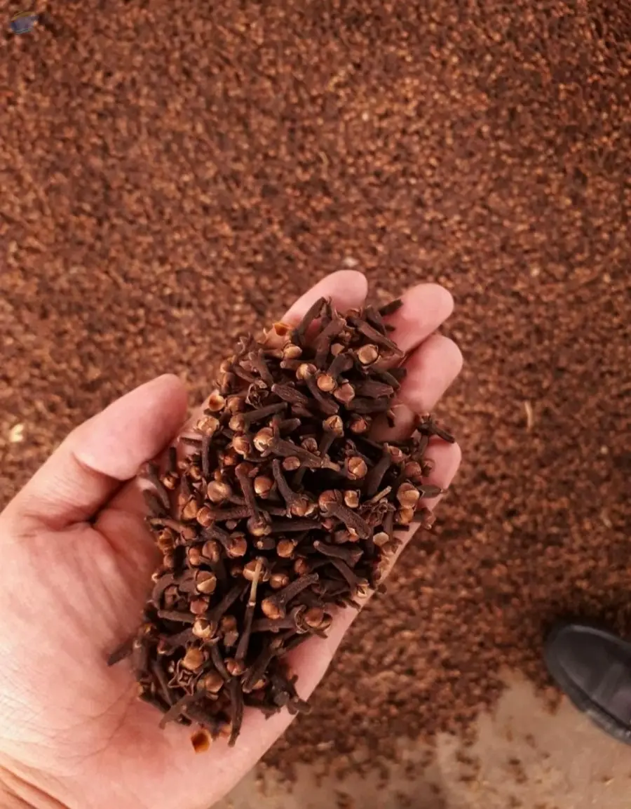 Cloves