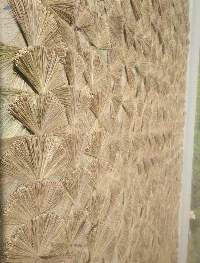 Palm Broom Sticks