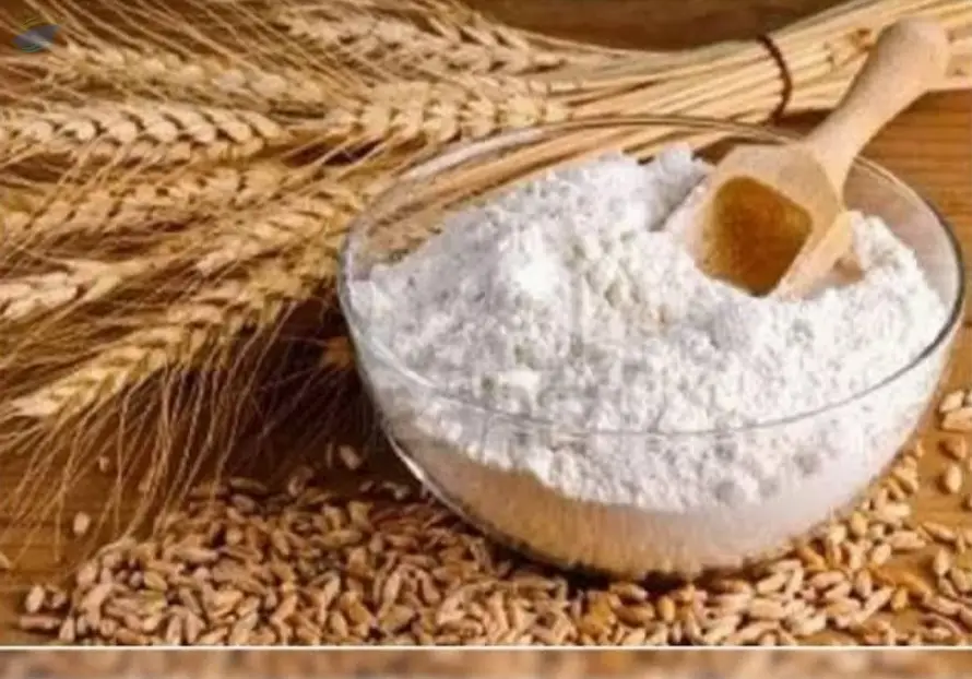 Maida Flour
