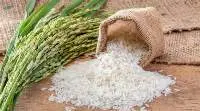 Basmati Rice