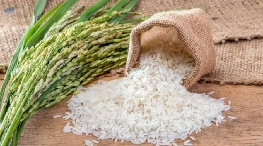 Basmati Rice