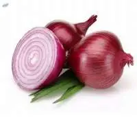 Onion