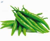 Green Chilli